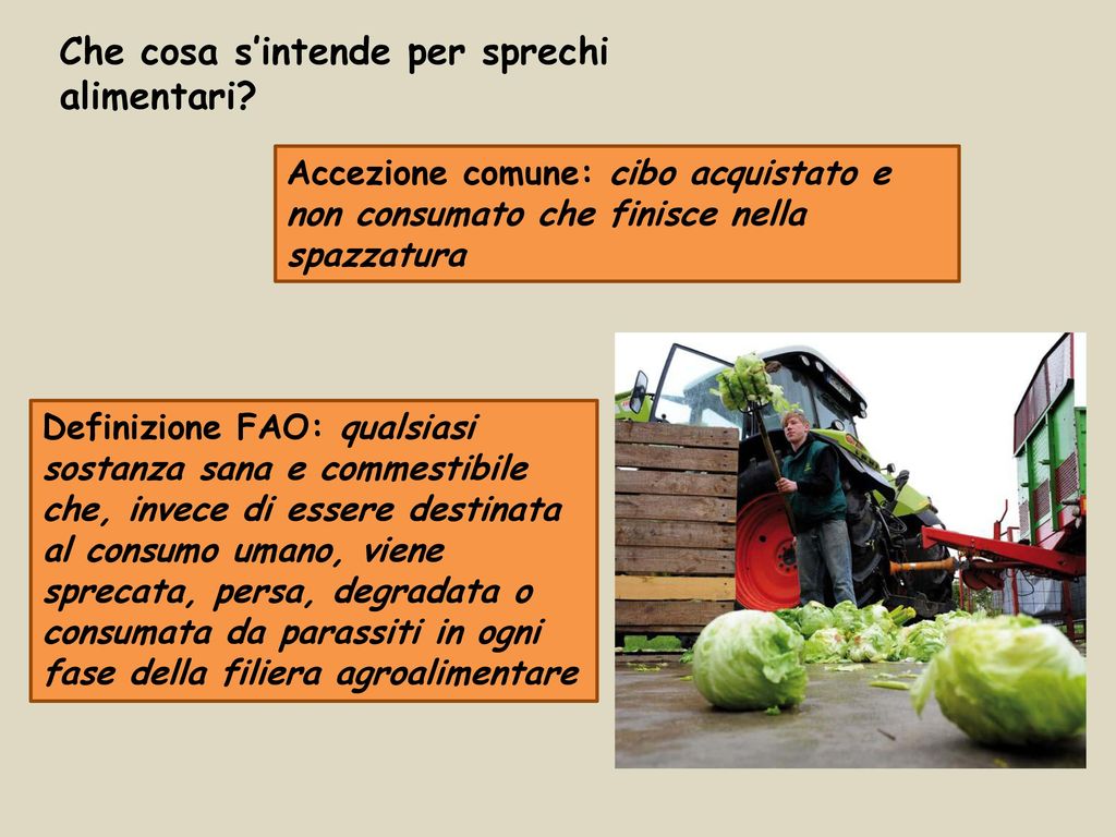 Lo Spreco Alimentare Cause Impatti Proposte Ppt Scaricare